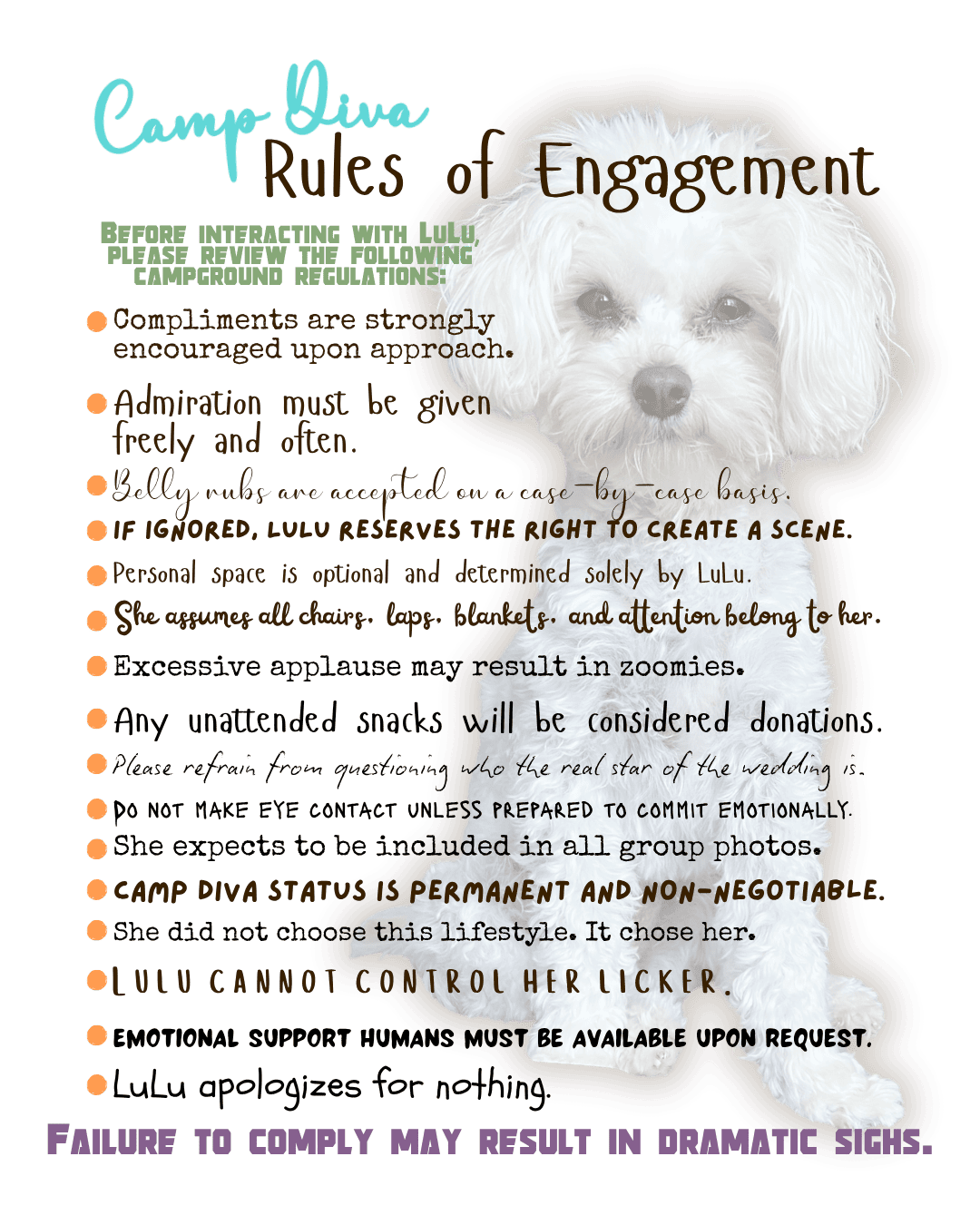 Rules of Engagement for LuLu